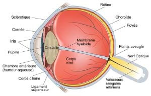 full-eye-diagram-fr